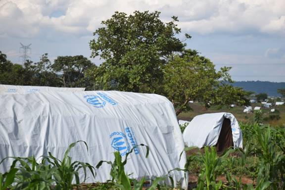 L’image montre un champ où des réfugiés arrivés récemment ont construit des abris temporaires, recouverts de bâches de l’UNHCR en guise de toits.