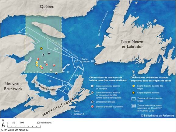 La carte identifie les emplacements des décès de baleines noires de l’Atlantique Nord et empêtrements dans le golfe du Saint-Laurent en 2017. Elle indique aussi la zone de réduction de vitesse saisonnière entre aout 2017 et janvier 2018 et des zones de pêche du crabe des neiges.