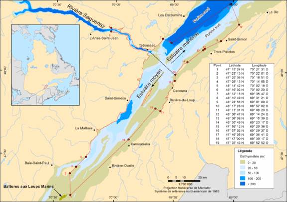 Habitat essentiel du béluga du Saint-Laurent. La carte représente la délimitation de l’habitat essentiel ainsi que la bathymétrie dans l’estuaire du Saint-Laurent. L’habitat essentiel s’étend des battures aux Loups Marins jusqu’à la portion sud de l’estuaire au large de Saint-Simon. Il exclut la zone plus profonde de la tête du chenal laurentien. Il inclut la portion aval de la rivière Saguenay, de l’embouchure à l’île Saint-Louis. En médaillon, la localisation du secteur au Québec. La carte inclut les coordonnées géographiques du polygone de l’habitat essentiel.