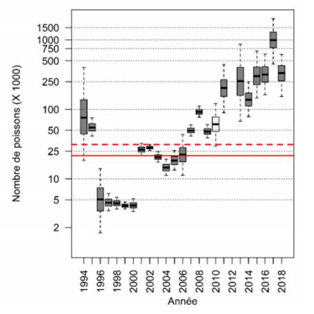 Estimation de l’abondance de bars rayés reproducteurs adultes dans l’estuaire de la rivière Miramichi Nord-Ouest entre 1994 et 2018. Les estimations sont indiquées sur une échelle logarithmique pour illustrer toute l’étendue des valeurs d’abondance de la série temporelle, d’une abondance faible d’environ 5 000 reproducteurs de 1996 à 2000 à l’abondance élevée d’environ un million d’individus en 2017. On considère que les données de 2010 (boîte d’écart interquartile non ombragée) sont une sous-évaluation de la situation réelle puisque la fraye s’est produite plus tôt qu’à l’habitude (Douglas et Chaput, 2011). Il n’y a aucune estimation pour 2012 puisque la fraye a eu lieu très tôt et que le bar rayé a quitté la zone d’échantillonnage avant le début des activités de surveillance (MPO, 2013). Le diagramme de quartiles doit être interprété comme suit : la ligne pleine dans les boîtes représente la médiane, les boîtes représentent l’écart interquartile et les lignes pointillées verticales, l’intervalle entre le 5e et le 95e percentile. La ligne pleine et la ligne pointillée horizontales illustrent les objectifs de rétablissement établis dans l’EPR menée en appui au processus décisionnel pour l’inscription de l’espèce en vertu de la Loi sur les espèces en péril (MPO, 2006).