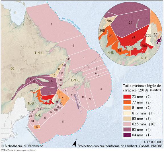 La carte montre les délimitations des zones de pêche du homard le long de la côte est du Canada en 2018. Les zones de pêche sont aussi identifiées en fonction de la taille minimale légale de carapace. Les zones de pêche des côtes nord et sud-est de l’Île-du-Prince-Édouard autorisent la pêche des plus petits homards, avec 73 mm. Les zones entourant Terre-Neuve-et-Labrador, ainsi que la plupart des eaux côtières au large de la Nouvelle-Écosse, sont limitées à un minimum de 82,5 mm. La pêche au homard dans le golfe du Saint-Laurent doit se faire à un minimum de 83 mm, tandis que le lac Bras d'Or dans l'île du Cap-Breton, en Nouvelle-Écosse, conserve la plus grande taille minimale, soit 84 mm.