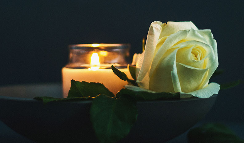 Une rose blanche, symbole des activités de commémoration pour Polytechnique