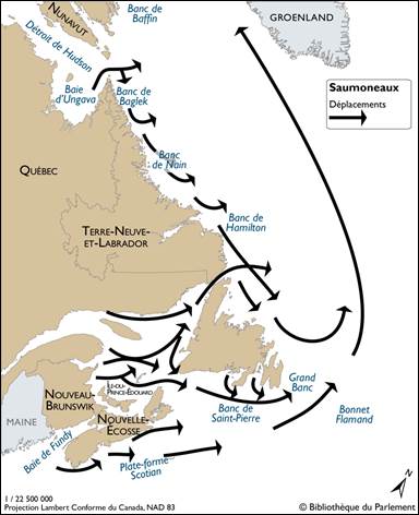 Figure 2 – Routes de migration du saumon atlantique dans l’Est du Canada