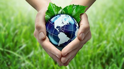 Environment and Sustainable Development