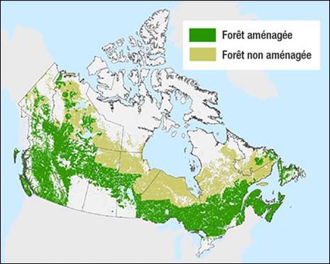 Cette figure montre les zones de forêt aménagée et de forêt non aménagée sur une carte du Canada. D’ouest en est, les zones de forêt aménagée couvrent environ : - moins d’un quart du territoire du Yukon et moins d’un cinquième des Territoires du Nord-Ouest; - la majeure partie de la Colombie-Britannique et du nord de l’Alberta; - la majeure partie du centre de la Saskatchewan et du centre du Manitoba; - la majeure partie des moitiés sud de l’Ontario et du Québec; - la majeure partie du Nouveau-Brunswick et de la Nouvelle-Écosse; - de petites parties de l’Île-du-Prince-Édouard; - moins d’un quart de Terre-Neuve-et-Labrador; - aucune partie du Nunavut. D’ouest en est, les zones de forêt non aménagée couvrent environ : - de petites parties du Yukon; - un tiers des Territoires du Nord-Ouest; - la majeure partie du nord de la Saskatchewan et le nord du Manitoba;  - de petites parties du Nunavut; - pratiquement tout le nord de l’Ontario et la majeure partie du nord du Québec; - la moitié du Labrador. La figure ne présente pas de manière claire les zones de forêt non aménagée en Colombie Britannique, en Alberta, au Nouveau Brunswick, en Nouvelle Écosse ou à l’Île du Prince Édouard.