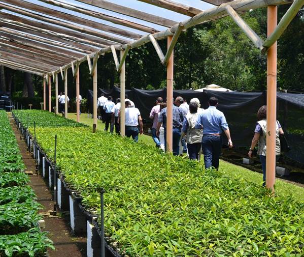 Visite d’une coopérative agricole de la Fedecovera, Cobán, Guatemala, 30 août 2016.