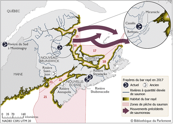 Cette carte montre les frayères actuelles et antérieures du bar rayé en 2017 ainsi que l’emplacement de l’habitat de bars rayés juvéniles, défini comme une zone tampon de 10 kilomètres s’étendant entre la côte est du Nouveau-Brunswick et de la Gaspésie, la côte nord de la Nouvelle-Écosse, l’ensemble de la côte de l’Île-du-Prince-Édouard et la côte sud du Maine, aux États-Unis. Des frayères de bar rayé ont été recensées au Nouveau-Brunswick dans la rivière Miramichi à Cassilis, en Nouvelle-Écosse dans les rivières Shubenacadie et Stewiacke et récemment au Québec dans la rivière du Sud à Montmagny. La carte montre aussi les zones où l’habitat du bar rayé croise les zones de pêche habituelles du saumon 15, 16, 17, 18, 21, 23 et 23 ainsi que les anciennes routes de mouvements connues de saumoneaux.