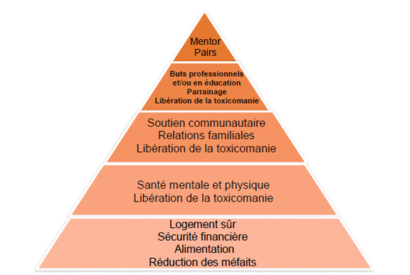 Cette figure (qui est adaptée de la théorie psychologique de la motivation humaine d'Abraham Maslow) illustre l'ordre dans lequel les besoins d'une personne doivent être comblés pour qu'elle se remette de la toxicomanie ou d’une dépendance à la drogue. Le premier ensemble de besoins à satisfaire pour le rétablissement des toxicomanes comprend l'accès à un logement sûr, la sécurité financière, l'alimentation et la réduction des méfaits. Le deuxième ensemble de besoins concerne la santé physique et mentale et le traitement de la toxicomanie. Le troisième ensemble de besoins comprend la libération de la toxicomanie, les relations familiales et le soutien communautaire. Le quatrième ensemble de besoins est axé sur l'obtention d'un parrain pour la libération de la toxicomanie et sur des buts professionnels ou en éducation. À la dernière étape, une personne en rétablissement peut devenir un mentor pour ses pairs qui ont un problème de toxicomanie ou leur offrir un soutien.