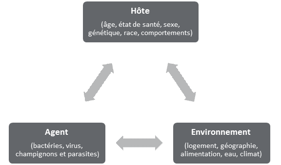 Cette figure illustre les trois différents facteurs ayant des effets sur la santé d’une personne lors d’une exposition à un agent pathogène résistant aux antimicrobiens. Les effets sur la santé de la personne ou de l’hôte dépendront de l’âge, de l’état de santé, du sexe, des comportements en matière de santé, de la génétique et de la race. Ils dépendront également du type d’agent ou de pathogène auquel la personne ou l’hôte sont exposés (bactéries, virus, champignons ou parasites), ainsi que du type d’environnement dans lequel ils vivent, notamment les conditions de logement, la géographie, l’accès à de la nourriture et à de l’eau et le climat général.