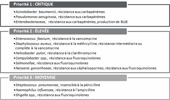 Ce tableau donne la liste des agents pathogènes résistants aux traitements qui présentent le plus grand risque pour la santé humaine et pour lesquels il y a peu d’options de traitement disponibles. L’Organisation mondiale de la santé a divisé la liste des agents pathogènes en trois catégories : priorité 1 (critique), priorité 2 (élevée), priorité 3 (moyenne).