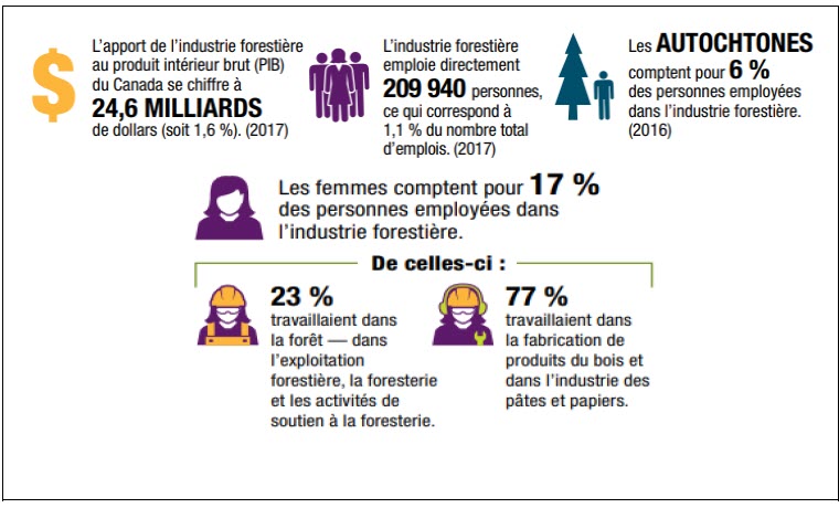 En 2017, l’industrie forestière a contribué au produit intérieur brut (PIB) à hauteur de 24,6 milliards de dollars (1,6 %) et employé directement 209 940 personnes (l’équivalent de 1,1 % de l’emploi total). 

En 2016, les Autochtones formaient 6 % des personnes employées dans l’industrie forestière. 
 En 2016, 17 % des personnes employées dans l’industrie forestière étaient des femmes. De celles-ci, 23 % travaillaient dans la forêt (exploitation forestière, foresterie et activités de soutien à la foresterie), tandis que 77 % travaillaient dans la fabrication de produits du bois et dans l’industrie des pâtes et papiers.