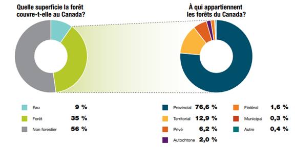 Cette figure présente une ventilation de la propriété des terres forestières au Canada. 

Premier diagramme à secteurs : Quelle superficie la forêt couvre-t-elle au Canada? Selon le premier diagramme à secteurs, la forêt occupe 35 % de la superficie du Canada. Pour le reste, l’eau occupe 9 % de la superficie et les terres non forestières en occupent 56 %. 

Deuxième diagramme à secteurs : À qui appartiennent les forêts au Canada? Selon le deuxième diagramme à secteurs, la ventilation de la propriété est la suivante : 76,6 % des terres forestières relèvent de la compétence provinciale, 12,9 % relèvent de la compétence territoriale, 6,2 % appartiennent au privé, 2 % appartiennent à des Autochtones, 1,6 % relèvent de la compétence fédérale, 0,3 % relèvent de la compétence municipale, et 0,4 % sont placées dans la catégorie « Autre ».
