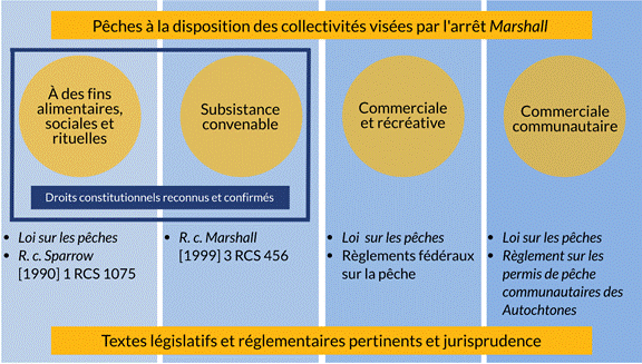 Le diagramme illustre les divers régimes de gestion des pêches dont peuvent se prévaloir les communautés touchées par l’arrêt Marshall et les textes législatifs et réglementaires pertinents et jurisprudence. Les droits de pêcher à des fins alimentaires, sociales et rituelles, et ceux visant à assurer une subsistance convenable sont des droits constitutionnels reconnus et confirmés. Le droit de pêcher à des fins alimentaires, sociales et rituelles a été conféré aux Premières Nations par l’arrêt Sparrow de la Cour suprême, rendu en 1990, et est géré par la Loi sur les pêches. Le droit de pêcher visant à assurer une subsistance convenable a été reconnu par la Cour suprême en 1999 via l’arrêt Marshall. 
Les permis de pêche commerciale communautaire sont délivrés en vertu du Règlement sur les permis de pêche communautaires des Autochtones afférent à la Loi sur les pêches et font souvent partie d’accords de gestion des pêches d’une durée limitée entre le MPO et des organisations des Premières Nations. Quant aux pêches commerciales et récréatives, elles sont gérées par la Loi sur les pêches et les règlements fédéraux sur la pêche.