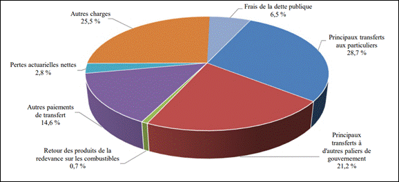 Les principaux types de dépenses sont les principaux transferts aux particuliers (28,7 %), les principaux transferts à d’autres paliers de gouvernement (21,2 %) et les autres charges (25,5 %).