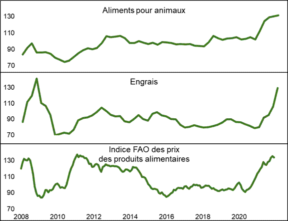 Ce graphique compare l’évolution des indices de prix des aliments pour les aliments pour animaux et les engrais au Canada avec celui des prix mondiaux des produits alimentaires. Le prix des aliments pour animaux au Canada a globalement légèrement augmenté jusqu’en 2020 où ils ont alors connu une augmentation plus rapide. Le prix des engrais au Canada a suivi la tendance des prix mondiaux des produits alimentaires : après un creux entre 2009 et 2011, ceux-ci ont augmenté en 2011 pour ensuite décliner légèrement jusqu’en 2020. À partir de cette date, les prix de ces deux indices ont rapidement augmenté de nouveau.