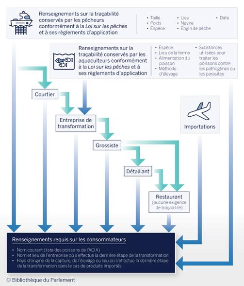 La figure illustre la traçabilité du poisson et des produits de la mer d’élevage et sauvages dans la chaîne d’approvisionnement canadienne. Les renseignements conservés par les pêcheurs conformément à la Loi sur les pêches et à ses règlements d’application incluent la taille, le poids, l’espèce, le lieu de capture, le navire, l’engin de pêche utilisé et la date de capture. Les renseignements conservés par les aquaculteurs comprennent l’espèce, le lieu de la ferme, l’alimentation du poisson, la méthode d’élevage, et les substances utilisées pour traiter les poissons contre les pathogènes ou les parasites. La figure montre les différents joueurs dans la chaîne d’approvisionnement incluant les courtiers, les entreprises de transformation, les grossistes, les détaillants et les restaurants. Les renseignements présentement requis pour les consommateurs comprennent le nom courant conformément à la liste des poissons de l’ACIA, le nom et lieu de l’entreprise où s’effectue la dernière étape de la transformation, et le pays d’origine de la capture, de l’élevage ou lieu où s’effectue la dernière étape de transformation dans le cas des produits importés.