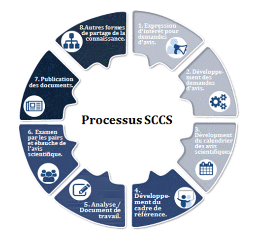 1. Expression d’intérêt pour demandes d’avis
2. Développement des demandes d’avis
3. Développement du calendrier des avis scientifiques
4. Développement du cadre de référence
5. Analyse/document de travail
6. Examen par les pairs et ébauche de l’avis scientifique
7. Publications des documents
8. Autres formes de partage de la connaissance
