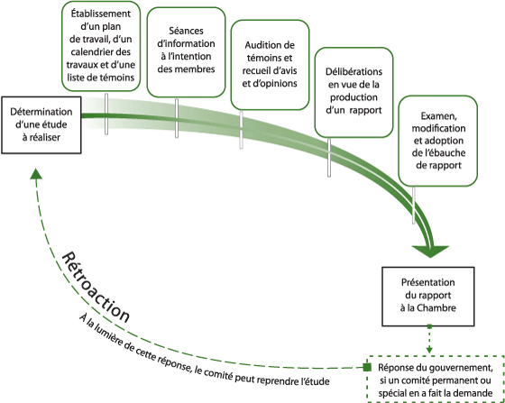 Ordre usuel des travaux d’un comité dans le cadre d’une étude menant à un rapport de fond