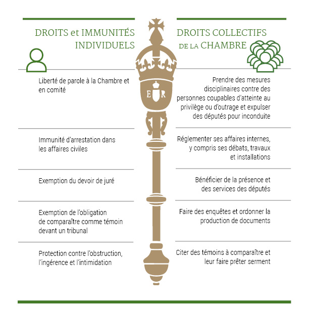 Un diagramme listant les droits et immunités individuels des députés de la Chambre des communes et les droits collectifs de la Chambre. À gauche, sous « Droits et immunités individuels », les droits incluent la liberté de parole, l'immunité contre l'arrestation dans les affaires civiles, l'exemption de devoir de juré, l'exemption des assignations de témoins à comparaître en cour et la protection contre l'obstruction, l'ingérence et l'intimidation. À droite, sous « Droits collectifs de la Chambre », les droits incluent la discipline des députés, la réglementation des affaires internes, de bénéficier de la présence des députés, la conduite d'enquêtes, la demande de documents et la convocation de témoins. Un symbole de la masse cérémonielle sépare les deux listes.