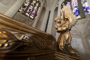 Gallerie de photos pour photo8