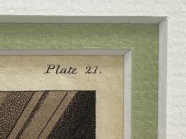 Gallerie de photos pour Chambre des communes photo4